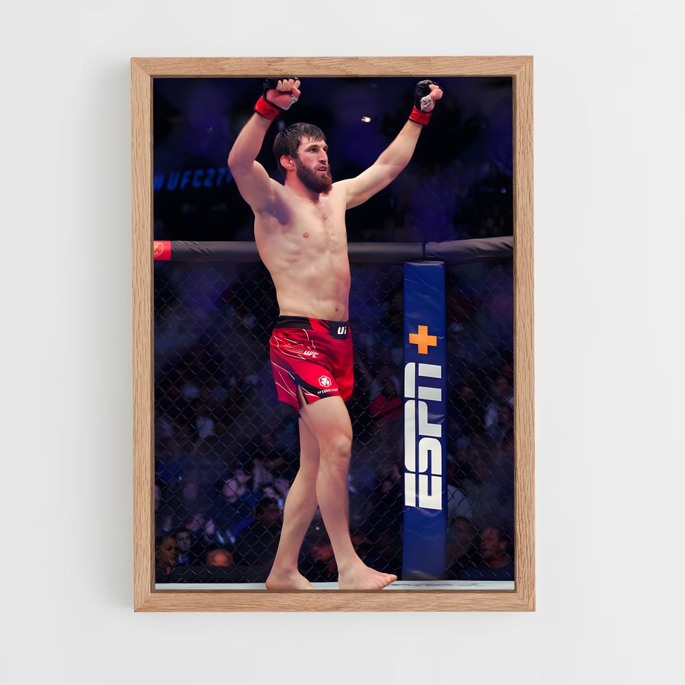 Poster Magomed ankalaev relever – affiche MMA (vue 4)